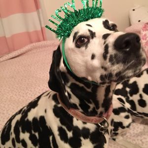 Meet your Posher, Jill